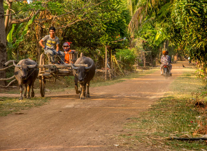 Mekong Discovery Trail, Kratie, Cambodia