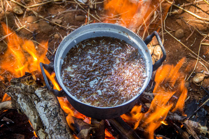 Mondulkiri Jungle Cooking. Ant Soup