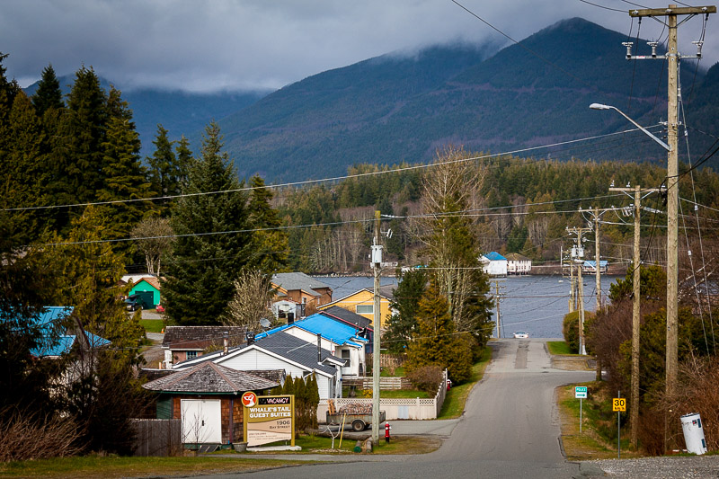 Tofino sideroad