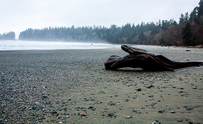 Tofino beaches